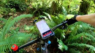 Whipple Creek Outside Loop Mountain Biking