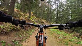 MTB Postavaru Bike Park - Forest Flow (autumn...