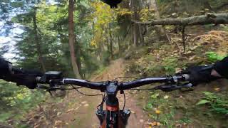 MTB Postavaru Bike Park - Killy's Backyard...