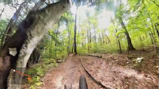 Tracey Journey (Black) - Jefferson Forest
