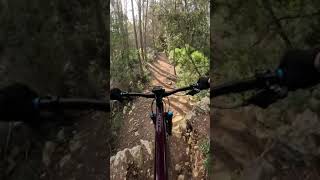 Sendero MTB Sant Lluc y Sant Lluc II
