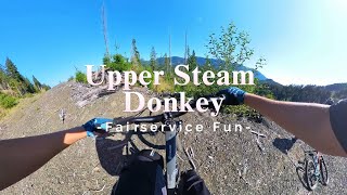 Upper Steam Donkey - a double black technical...