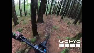 Parnells Tollymore MTB Trails