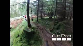 “Hawkwind” Tollymore Forest MTB