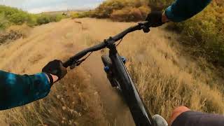 Fenceline | Colorado Springs