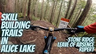 The Alice Lake Starter Trails,    Stone Ridge,...