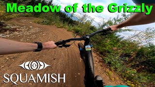 Meadow of the Grizzly (Spélhx̱en tl'a...