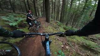MADEIRA MTB|| Track Preview RATBOY with Filipe...
