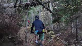 Fast Down - Carmichael Trails (DJI Neo)
