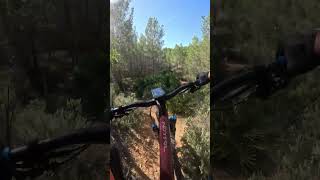Sendero MTB Montesa
