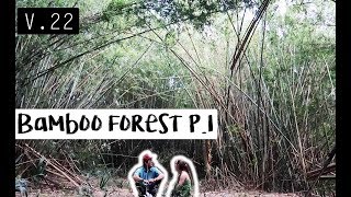 Exploring Magical Bamboo Forest Pt. 1