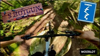 SHOTGUN | Blue trail | Woodlot