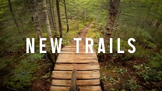 Dennis the Menace & More new trails -...