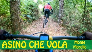 salti e whippate sull'ASINO CHE VOLA - Monte...