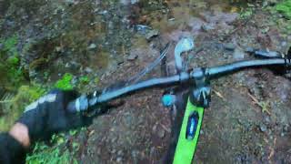 Oregon Coast Ferns & Cedars MTB ride ||...