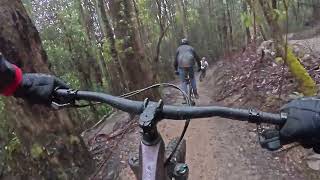 Maydena Mountain Bike Park - Scandinavia