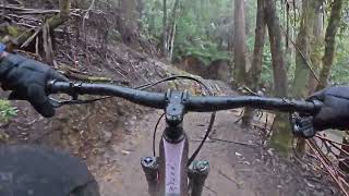 Maydena Mountain Bike Park - Colour Blind