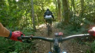 Bunya Mountains MTB trails - POV of all trails...