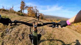 Bugs - Wentworth Mountain Biking