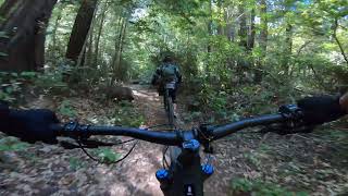 Parallel Action Trail 2 - Jackson...
