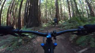 Confusion Trail 1- Jackson Demonstration State...