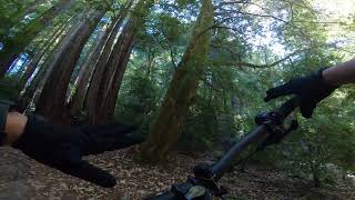 Confusion Trail 2- Jackson Demonstration State...