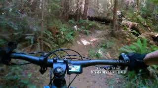 Gascap Trail - Jackson Demonstration State Forest
