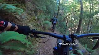 Manley Gulch -Jackson Demonstration State Forest
