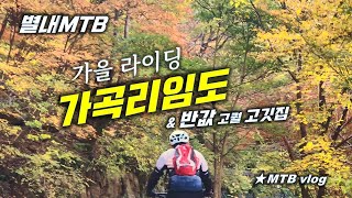 [별내MTB] 가을 가곡리 임도 / 50%...