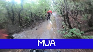 MTB Poggio Pelato - Rosignano 26.10.2024...