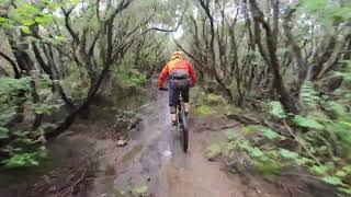 MTB Poggio Pelato - Rosignano 26.10.2024...