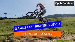 Hacklberg, die Mutter aller Flowtrails? Und...