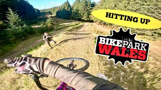SENDING BIKEPARK WALES WITH AN OLD SCHOOL...