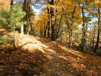 Rothrock Levo 10.20.24
