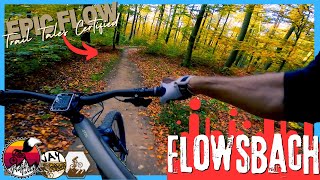 G'Hupft wie G'Sprunge - Full Run // Flowtrail...