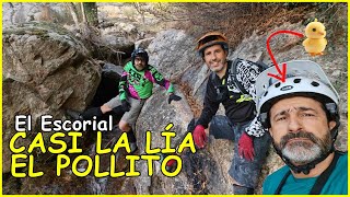 Casi la lía el Pollito ​ El Escorial |...