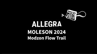 POV Modzon Flow