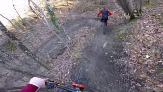MTBRICCO - ALFOGLIA FREERIDE