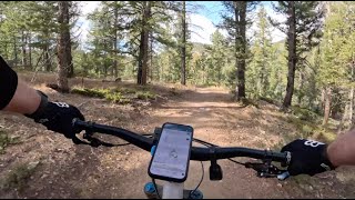 Pine Elfin Trail - Beaver Ranch Park - Conifer...