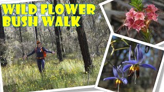Pajero Camp-out and Bush walking in the...