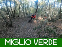 MTB Monte Morello 01.11.2024 sentiero MIGLIO VERDE