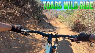 Mr. Toad's Wild Ride - Mountain Biking -...