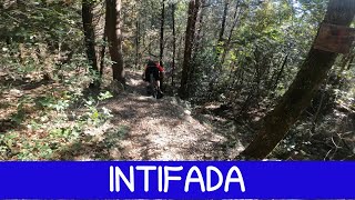 MTB Monte Morello 01.11.2024 sentiero INTIFADA...