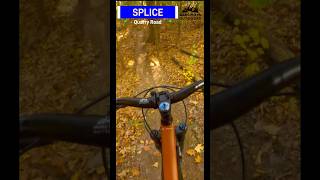 Autumn Flow MTB: Riding Splice