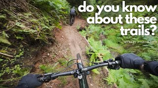 Will You Be Left Behind If You Don't Ride MTB...
