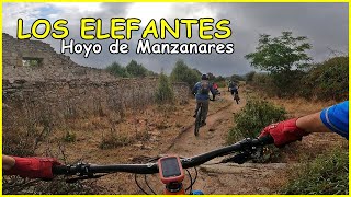 Los Elefantes ​ Curveteo a lo loco | Living...