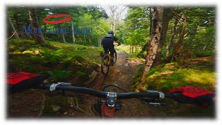DH au Mont-Sainte-Anne cet été