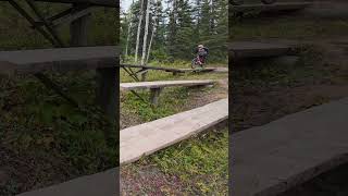 Wall Ride and Jumps