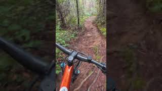 Double Pumper Cumberland A fun Blue Trail