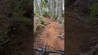 Fun Log ride!